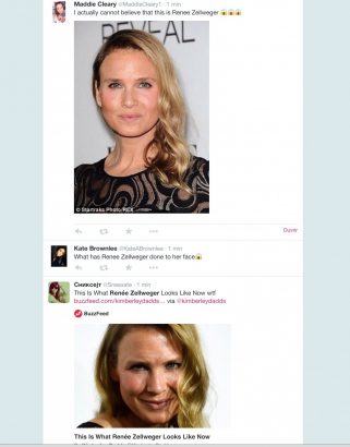 Renee-Zellweger-bashing-quand-l-Internet-n-a-plus-de-mesure