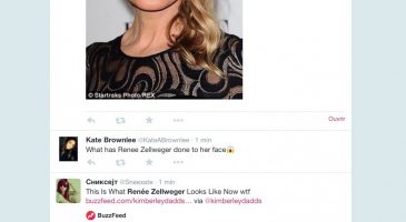 Renée Zellweger bashing, quand l'Internet n'a plus de mesure.