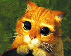 Shrek-Un-spin-off-sur-le-Chat-Potte
