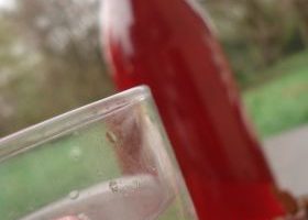 Sirop de vin de framboises - %%sitename%%