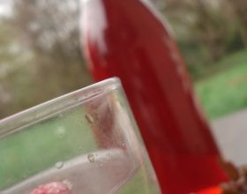 Sirop-de-vin-de-framboises-par-Emilie2622