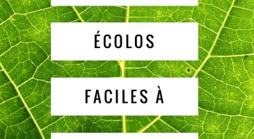 Top 10 des gestes écolos faciles à réaliser - %%sitename%%