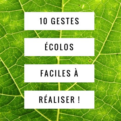 Top-10-des-gestes-ecolos-faciles-a-realiser