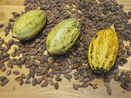 Top-5-des-aliments-mysterieux