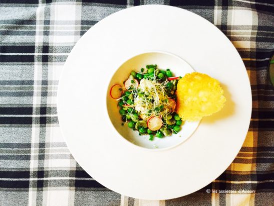 Toute-fraiche-et-toute-simple-la-salade-de-petits-pois-et-tuile-de-parmesan