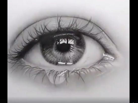 Toutes-les-nuances-de-gris-pour-ce-superbe-dessin