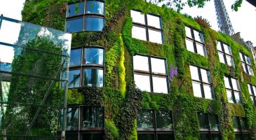 Un petit coin de nature à la maison - %%sitename%%