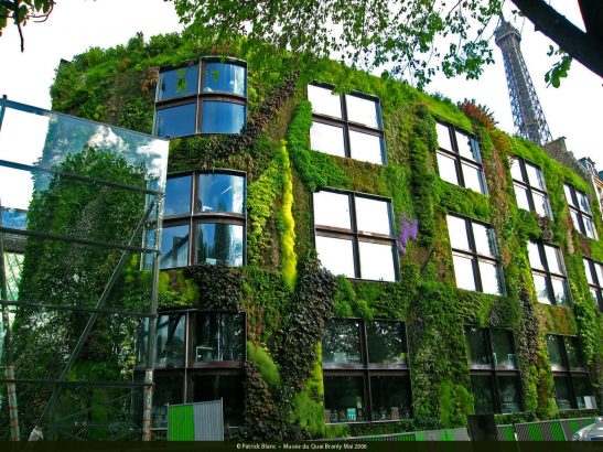 Un-petit-coin-de-nature-a-la-maison