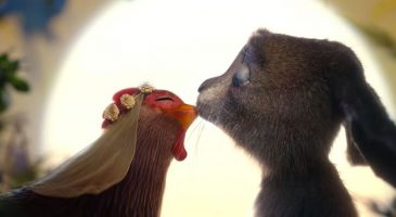 Une publicité invente une jolie histoire sur l'origine du lapin de Pâques