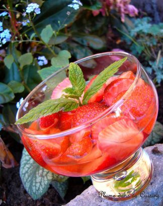 Une-soupe-de-fraises-au-vin-blanc