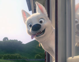 Volt-star-malgre-lui-un-film-qui-a-du-chien