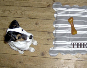 accessoires-deco-pour-animaux