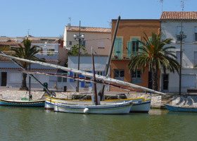 Échappée sauvage en Camargue Echapée sauvage en Camargue - %%sitename%%