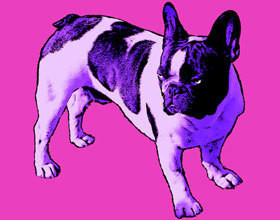 cadeauperso