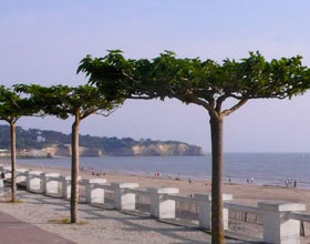 capitale-de-la-cote-de-beaute