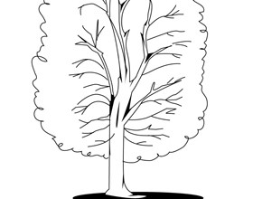 coloriage-arbre