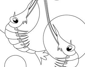 coloriage-crevettes