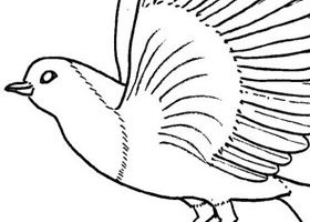 Coloriage : le rouge gorge coloriage rouge gorge à imprimer - %%sitename%%