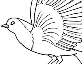 coloriage-rouge-gorge