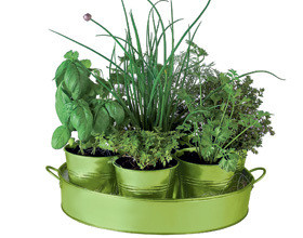 creation-potager-modele