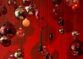 Je chouchoute mon beau sapin