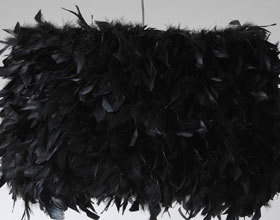 decoration-plumes