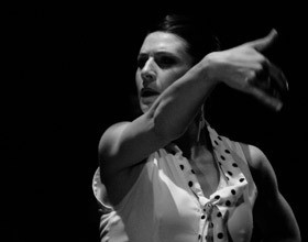 ecole-de-danse-flamenco