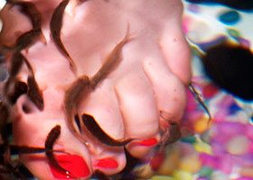 J'ai testé la Fish Pedicure - %%sitename%%