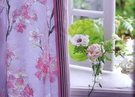 Fleurs de cerisiers et magnolia - %%sitename%%
