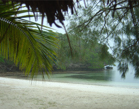 la-Nouvelle-Caledonie