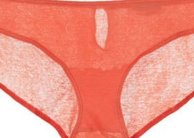 Nos sous-vêtements de l'été par American Vintage !