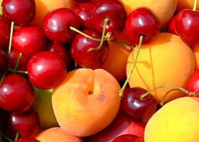 Nutrition : manger 5 fruits et légumes par jour, si je peux ! - %%sitename%%