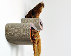 meubles-pour-chats-design