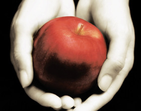 nouveau-roman-stephenie-meyer