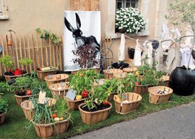 4 Solutions pour créer mon mini-potager Aménager son potager s - %%sitename%%