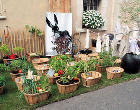 potager-mini-balcon