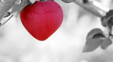 Six aphrodisiaques naturels ! - %%sitename%%