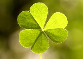 On adore l'Irlande ! - %%sitename%%