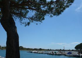 Échappée sauvage en Camargue Echapée sauvage en Camargue - %%sitename%%