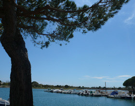 voyage-camargue