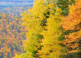 Mon été indien en Gaspésie l'été indien - %%sitename%%