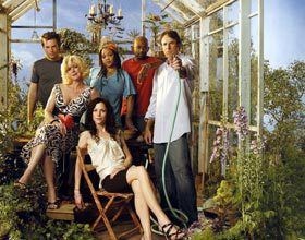 weeds