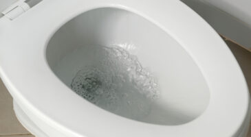 Toilettes : ce geste simple avec une bouteille vous fait gagner jusqu’à 30 % d’eau par chasse