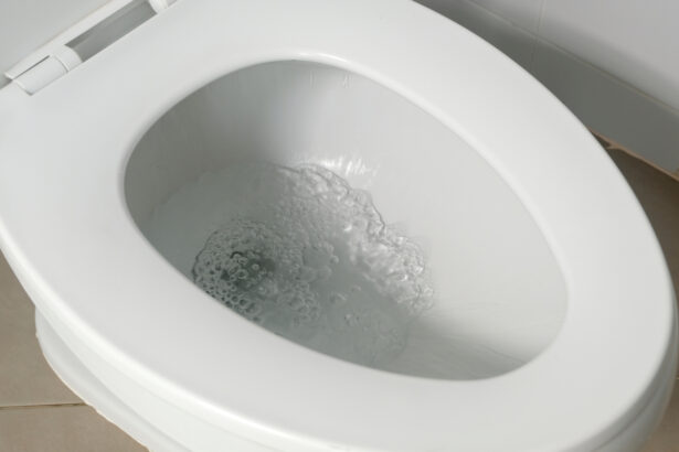 toilettes chasse d'eau
