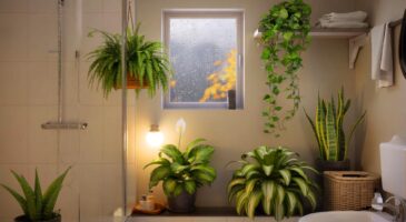 Voici 6 plantes pour la salle de bain qui limitent la buée et les odeurs, sans entretien: le détail qui change tout cet automne