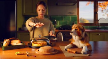 Ce chien qui chaparde sur la table dès qu’on a le dos tourné, et comment j’ai réglé ce réflexe à la maison en automne 2025