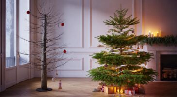 Ce sapin de noël trop fin est celui à éviter en 2025, et voici pourquoi les décorateurs préviennent dès novembre
