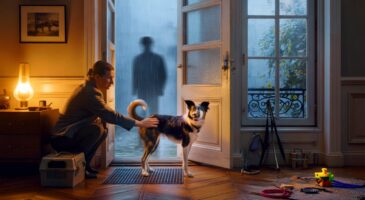 Ce signal que donnent certains chiens en novembre 2025 cache souvent une urgence qu'on ne comprend pas