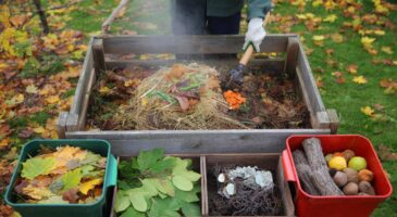 Compost d'automne 2025 : voici les feuilles à absolument écarter, et celles qui peuvent aller au tas sans ruiner l'équilibre du jardin