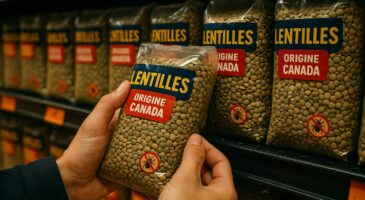 Ces graines bon marché dans tous les supermarchés inquiètent Hugo Clément : ce que vous risquez sans le savoir